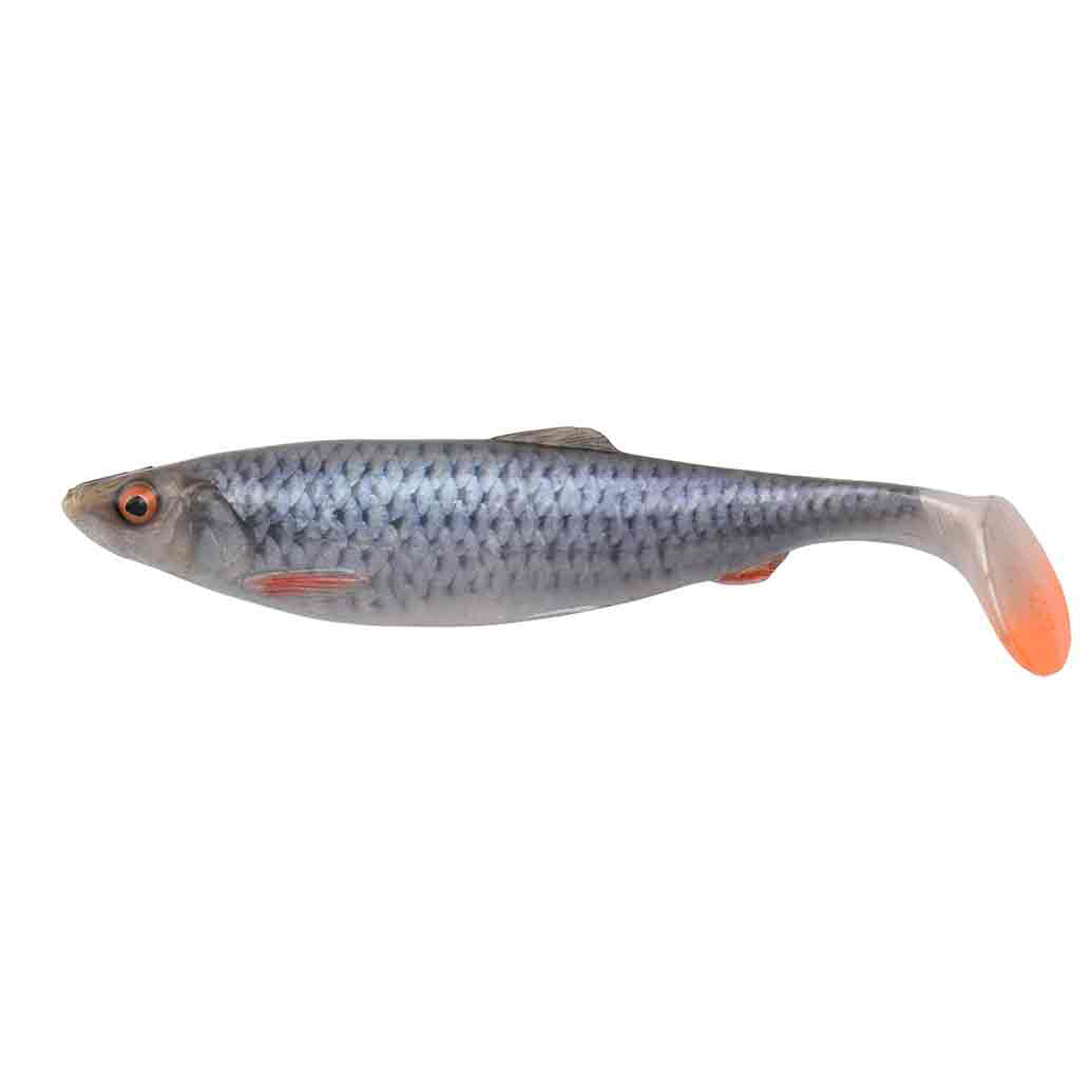 4D herring shad