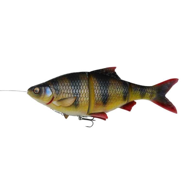 4D Line Thru Roach 18cm