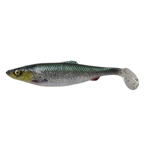 4D herring shad