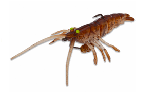 TPE fly shrimp 5cm 2,65gr