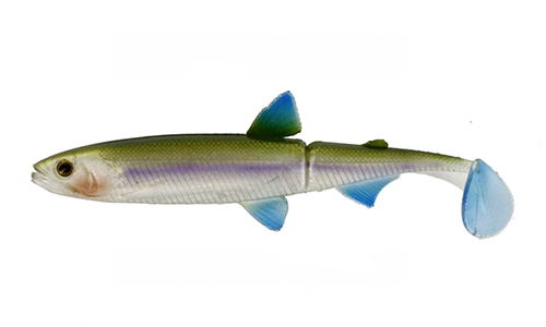 Smelt