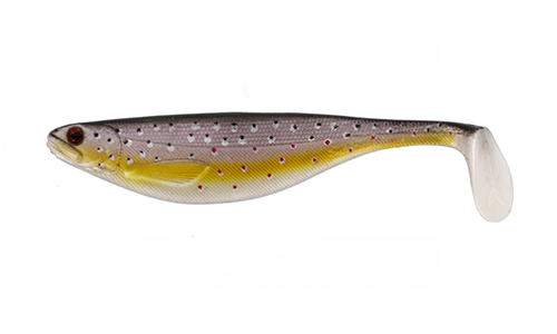 Brook Trout