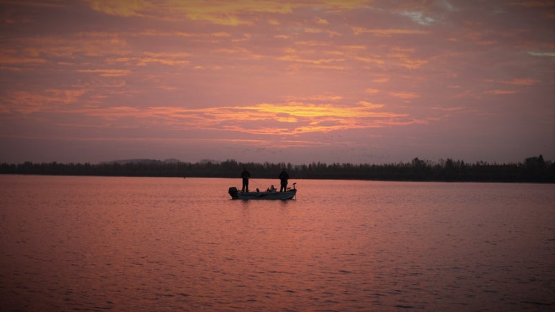 3 dagen bij de noorderburen Deel 3