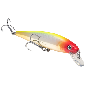 KVD 200 JERKBAIT