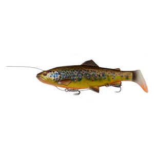 4D en 3D Trout Rattle Shad 27,5 cm