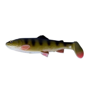 4D en 3D Trout Rattle Shad 27,5 cm