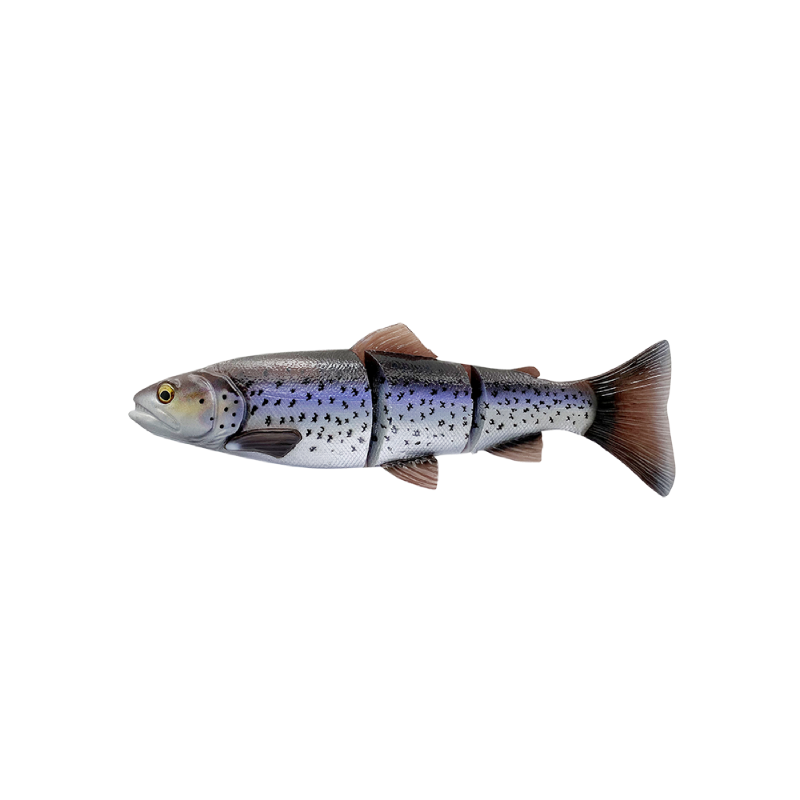 4D Line thru trout 40cm 4D Line thru trout 40cm