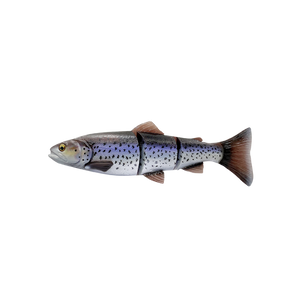 4D Line thru trout 40cm