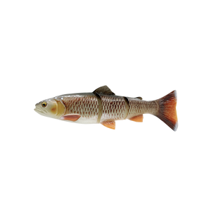 4D Line thru trout 40cm