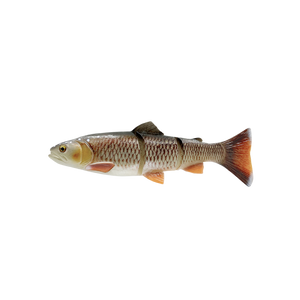 40 cm trout lure 4D Line thru trout 40cm