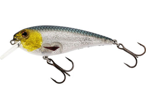 Raw Bite Crankbait