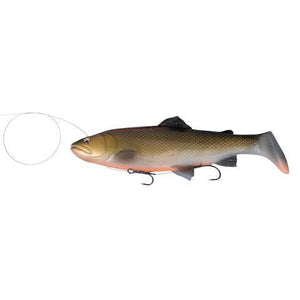 4D en 3D Trout Rattle Shad 27,5 cm