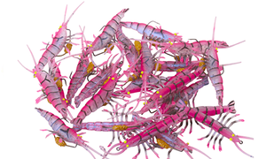 TPE fly shrimp 5cm 2,65gr