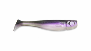 CT Collector Shad 25cm