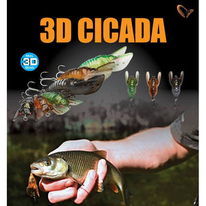 3D Cicada